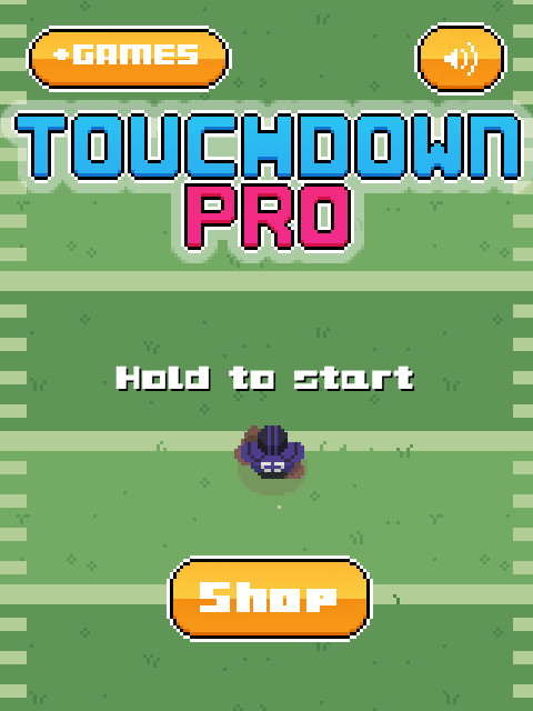 Touchdown Profi